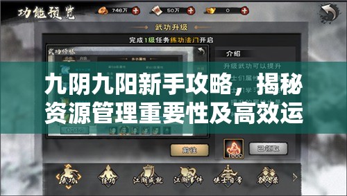 九阴九阳新手攻略，揭秘资源管理重要性及高效运用技巧，助你游戏一飞冲天