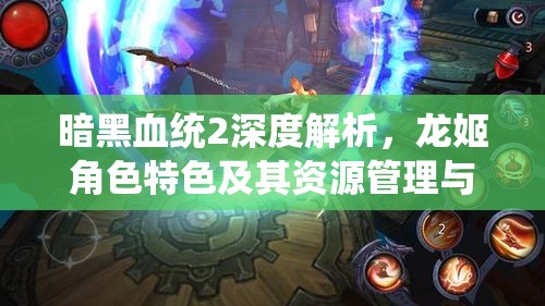 暗黑血统2深度解析，龙姬角色特色及其资源管理与高效利用策略