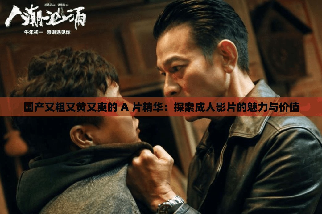 国产又粗又黄又爽的 A 片精华：探索成人影片的魅力与价值