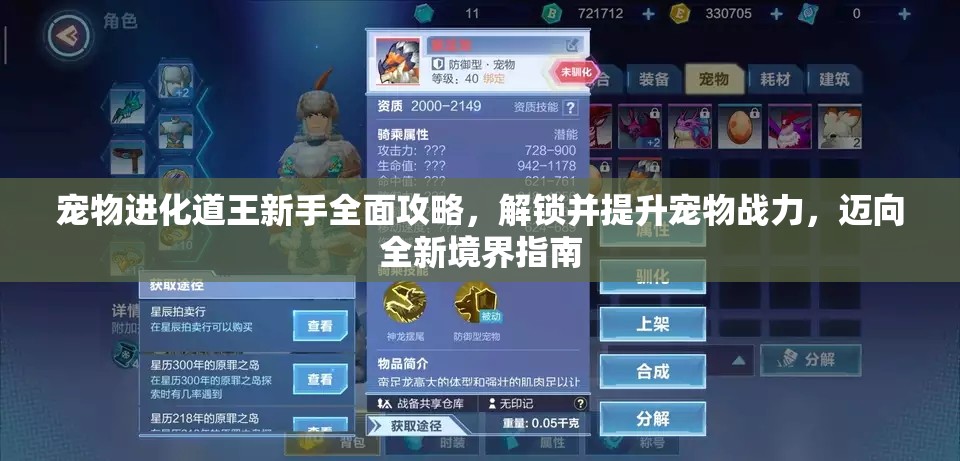 宠物进化道王新手全面攻略，解锁并提升宠物战力，迈向全新境界指南