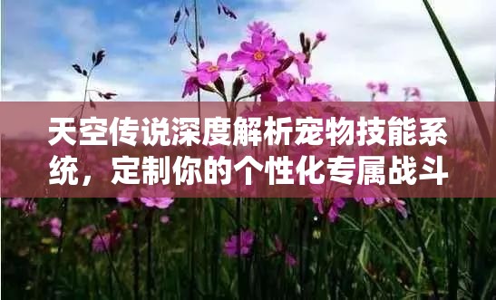 天空传说深度解析宠物技能系统，定制你的个性化专属战斗萌宠攻略