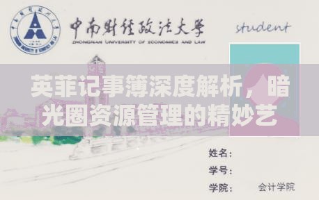 英菲记事簿深度解析，暗光圈资源管理的精妙艺术与策略