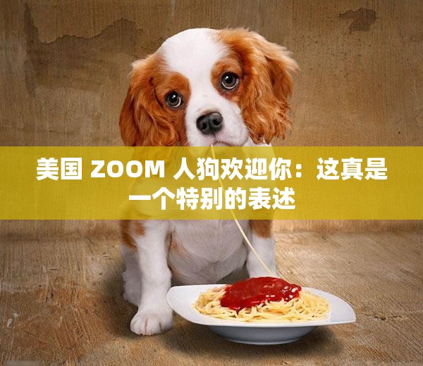 美国 ZOOM 人狗欢迎你：这真是一个特别的表述