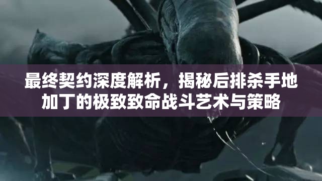 最终契约深度解析，揭秘后排杀手地加丁的极致致命战斗艺术与策略
