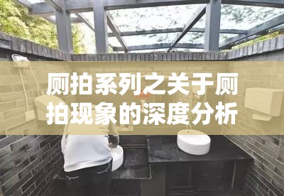 厕拍系列之关于厕拍现象的深度分析与探讨