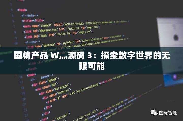 国精产品 W灬源码 3：探索数字世界的无限可能