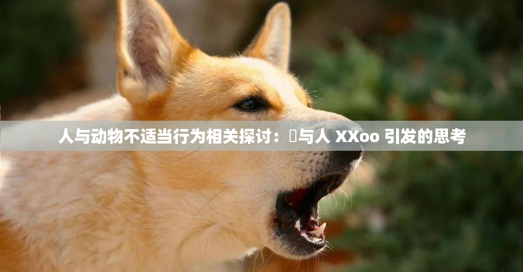 人与动物不适当行为相关探讨：嘼与人 XXoo 引发的思考