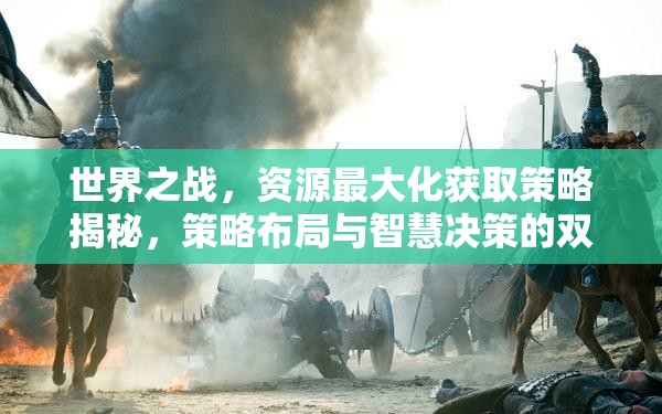 世界之战，资源最大化获取策略揭秘，策略布局与智慧决策的双重极限考验