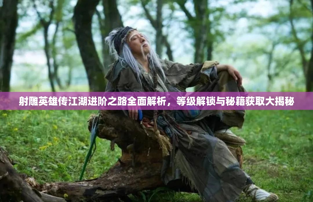 射雕英雄传江湖进阶之路全面解析，等级解锁与秘籍获取大揭秘