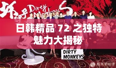 日韩精品 72 之独特魅力大揭秘
