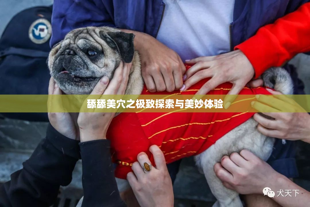 舔舔美穴之极致探索与美妙体验