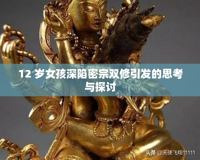 12 岁女孩深陷密宗双修引发的思考与探讨