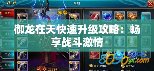 御龙在天快速升级攻略：畅享战斗激情