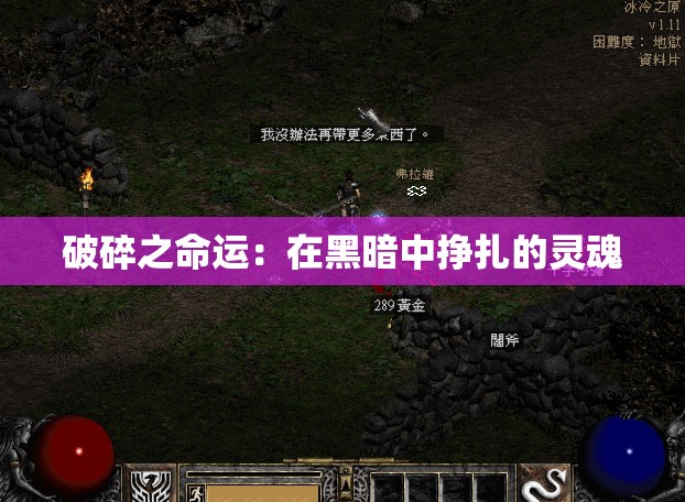 破碎之命运：在黑暗中挣扎的灵魂