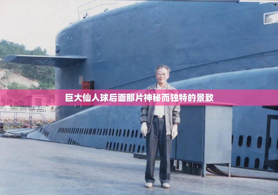 巨大仙人球后面那片神秘而独特的景致