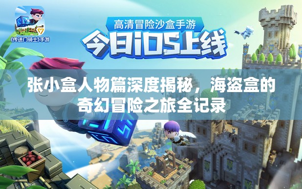张小盒人物篇深度揭秘，海盗盒的奇幻冒险之旅全记录