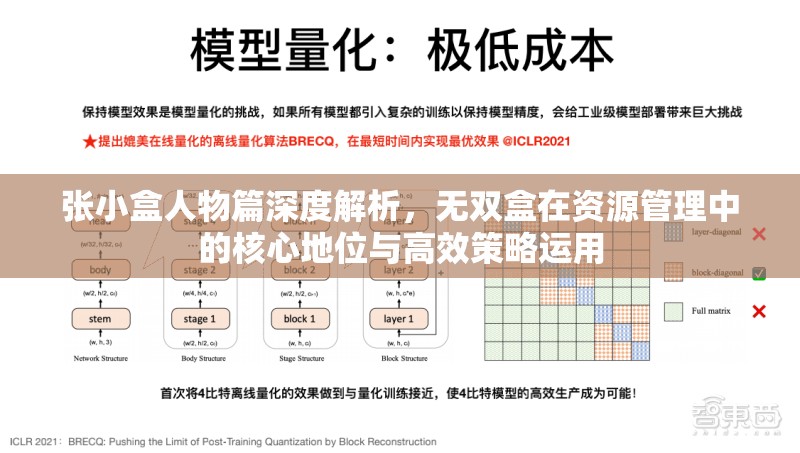 张小盒人物篇深度解析，无双盒在资源管理中的核心地位与高效策略运用