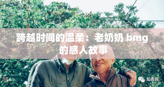 跨越时间的温柔：老奶奶 bmg 的感人故事