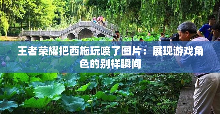 王者荣耀把西施玩喷了图片：展现游戏角色的别样瞬间