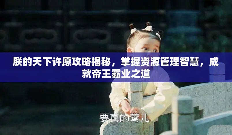 朕的天下许愿攻略揭秘，掌握资源管理智慧，成就帝王霸业之道