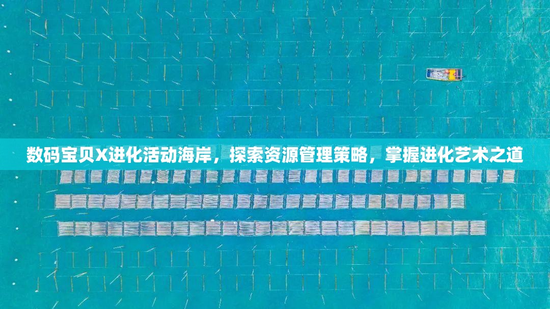 数码宝贝X进化活动海岸，探索资源管理策略，掌握进化艺术之道