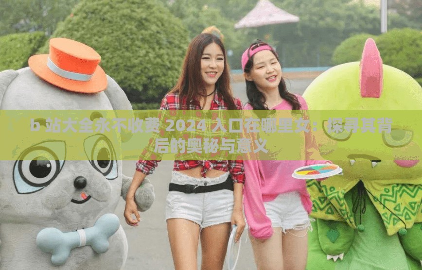 b 站大全永不收费 2024 入口在哪里女：探寻其背后的奥秘与意义