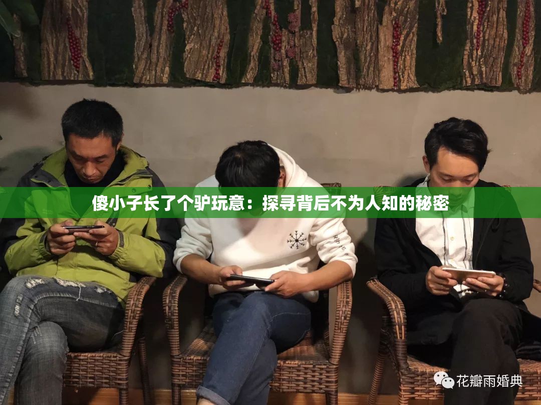 傻小子长了个驴玩意：探寻背后不为人知的秘密