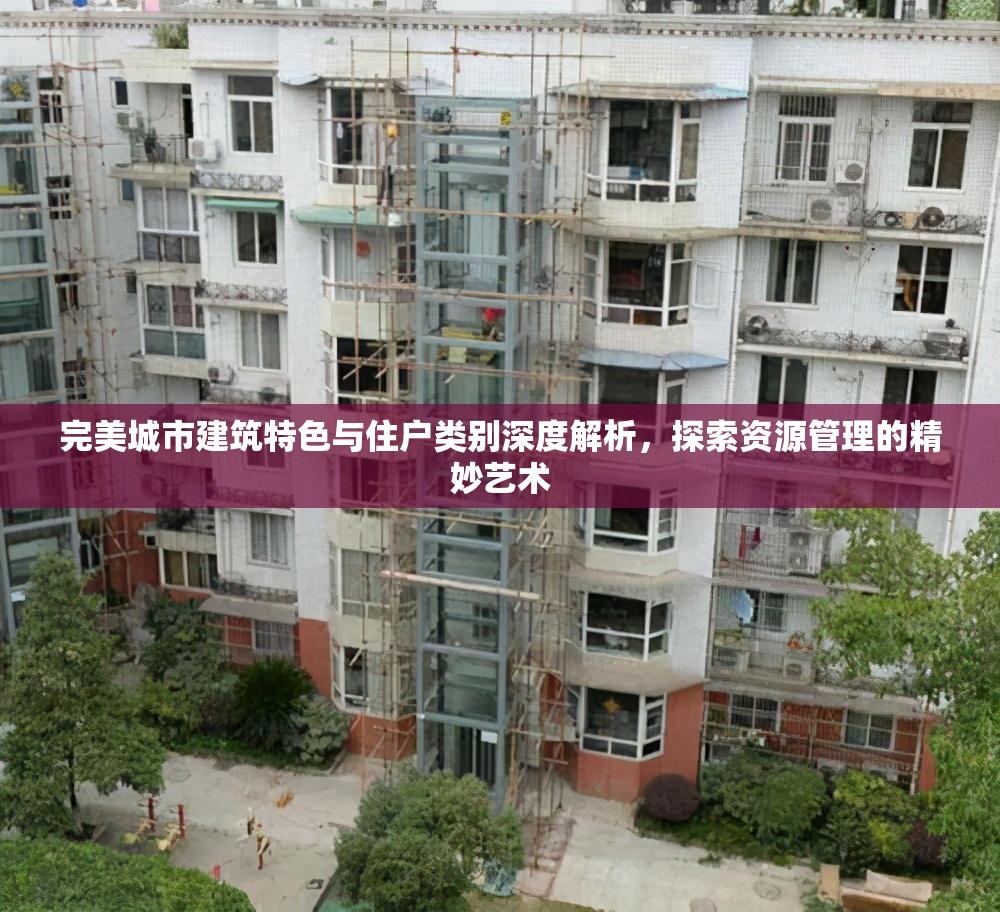 完美城市建筑特色与住户类别深度解析，探索资源管理的精妙艺术