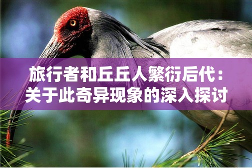 旅行者和丘丘人繁衍后代：关于此奇异现象的深入探讨