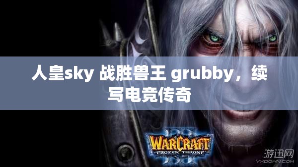 人皇sky 战胜兽王 grubby，续写电竞传奇
