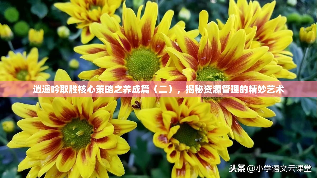 逍遥吟取胜核心策略之养成篇（二），揭秘资源管理的精妙艺术