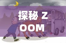 探秘 ZOOM 与牛性胶 ZOOM 旧版更加给力之独特魅力
