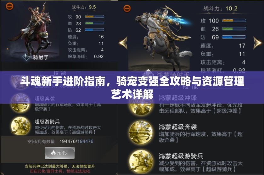 斗魂新手进阶指南，骑宠变强全攻略与资源管理艺术详解