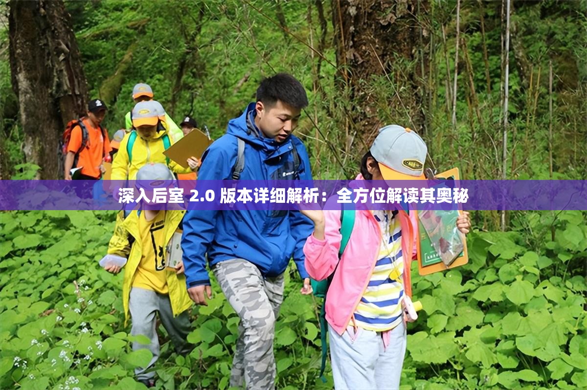 深入后室 2.0 版本详细解析：全方位解读其奥秘