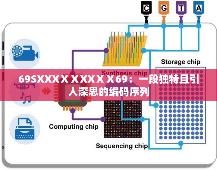 69SXXXⅩⅩXXⅩⅩ69：一段独特且引人深思的编码序列