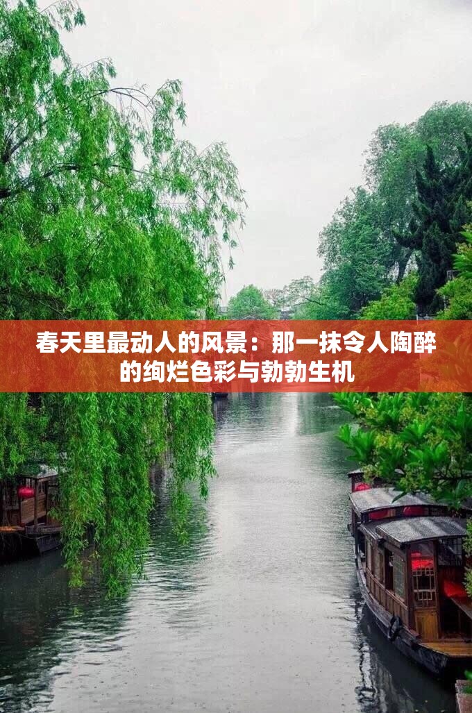 春天里最动人的风景：那一抹令人陶醉的绚烂色彩与勃勃生机