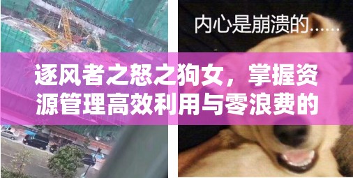 逐风者之怒之狗女，掌握资源管理高效利用与零浪费的终极实战策略