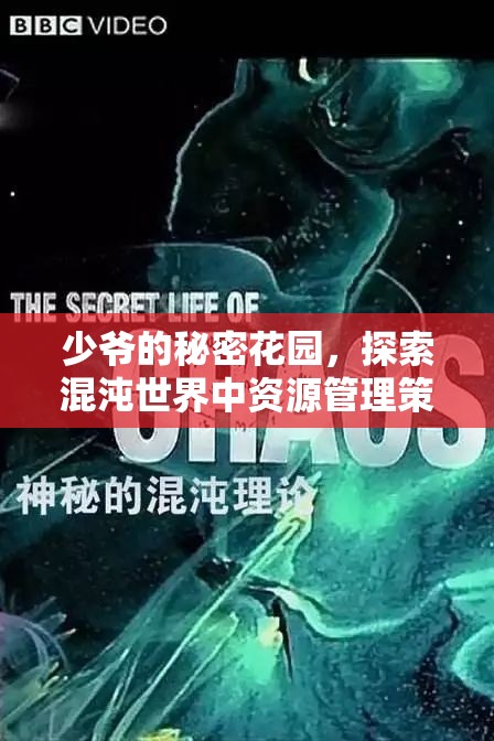 少爷的秘密花园，探索混沌世界中资源管理策略的核心重要性
