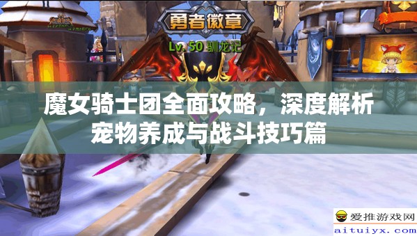 魔女骑士团全面攻略，深度解析宠物养成与战斗技巧篇