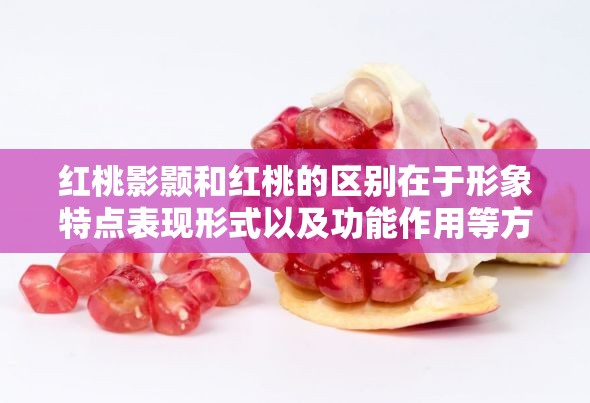 红桃影颢和红桃的区别在于形象特点表现形式以及功能作用等方面