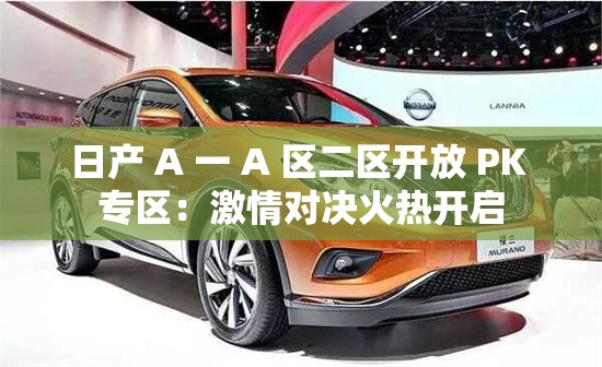 日产 A 一 A 区二区开放 PK 专区：激情对决火热开启