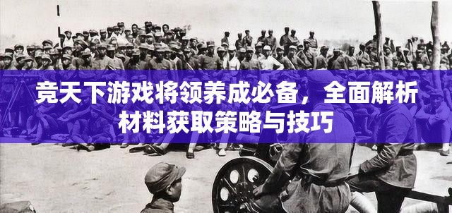竞天下游戏将领养成必备，全面解析材料获取策略与技巧