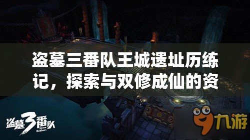 盗墓三番队王城遗址历练记，探索与双修成仙的资源管理精妙艺术