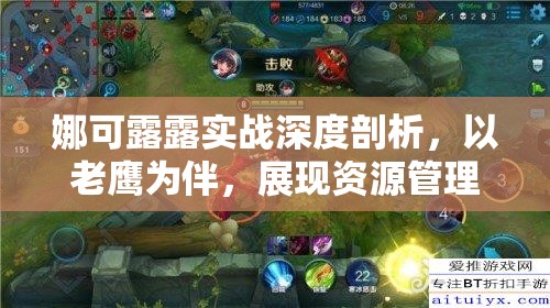 娜可露露实战深度剖析，以老鹰为伴，展现资源管理的艺术精髓