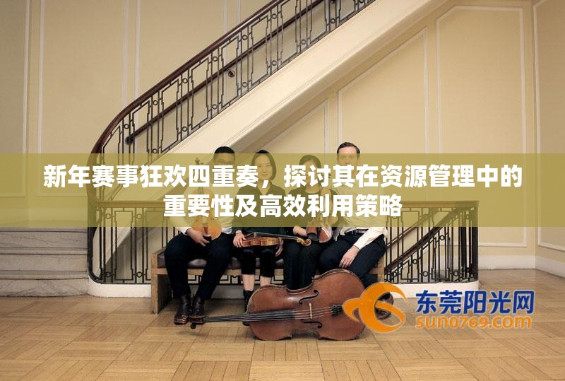 新年赛事狂欢四重奏，探讨其在资源管理中的重要性及高效利用策略