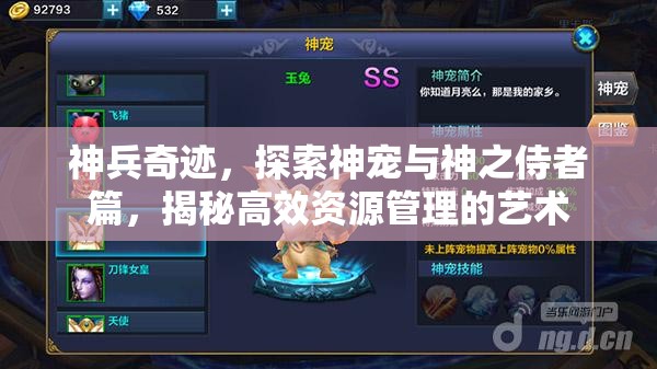 神兵奇迹，探索神宠与神之侍者篇，揭秘高效资源管理的艺术