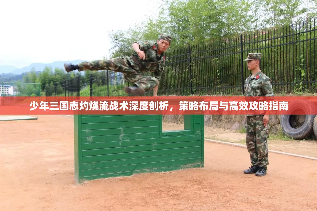少年三国志灼烧流战术深度剖析，策略布局与高效攻略指南