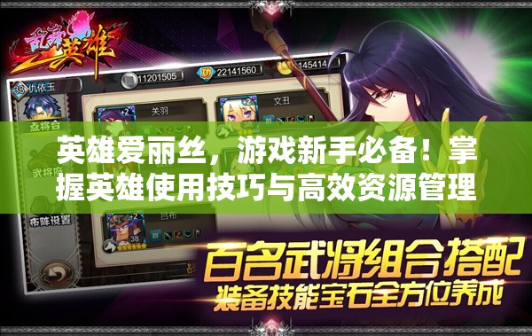 英雄爱丽丝，游戏新手必备！掌握英雄使用技巧与高效资源管理策略