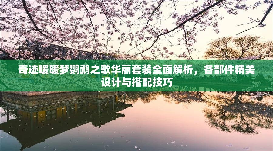 奇迹暖暖梦鹦鹉之歌华丽套装全面解析，各部件精美设计与搭配技巧