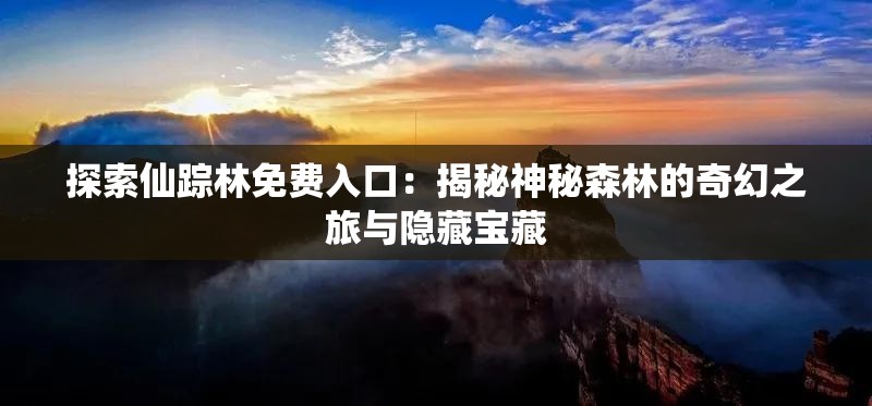 探索仙踪林免费入口：揭秘神秘森林的奇幻之旅与隐藏宝藏